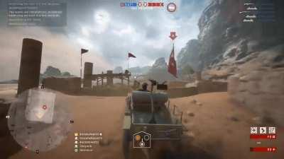 Tomfoolery in the Sinai Desert