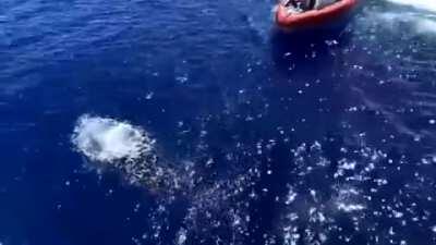 When a shark wants to join your swim call. Shark watch on the USCGC Kimball opens fire on a shark during swim call. No one injured, but the shark would later return with his friends. Everyone was out of the water by then.