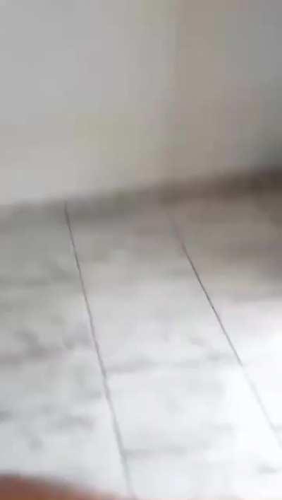 Panic at the kitchen