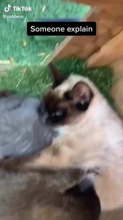 Activating stealth mode