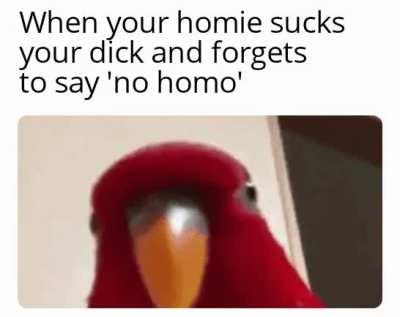 Well. Your homie turned into your homoie