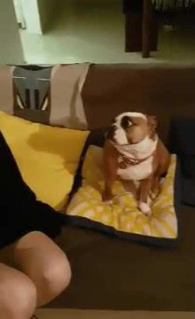 Watching your summoned demon hang out with you.