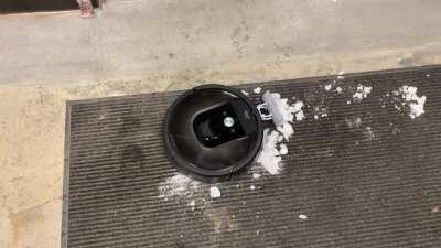 Made a snowplow for our roomba.