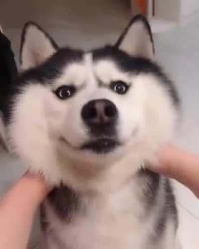 Feliz ano novo, que tenha tudo de bom ano q vem e que cada um desse reddit tenha uma gostozinha pra socar 👍