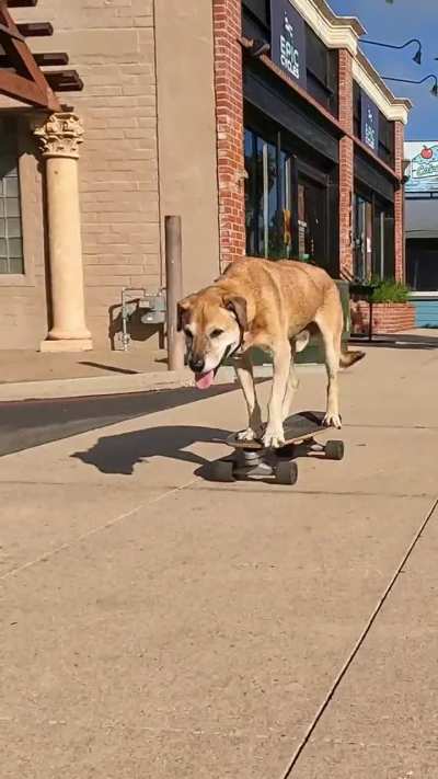 Bamboo Turning 14 This Week