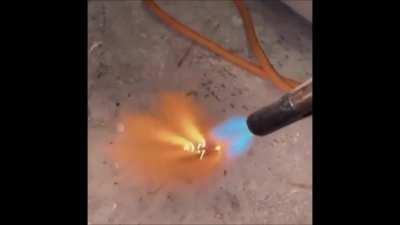 Armeen is the COCKroach titan?? 😨😲😳😳😳