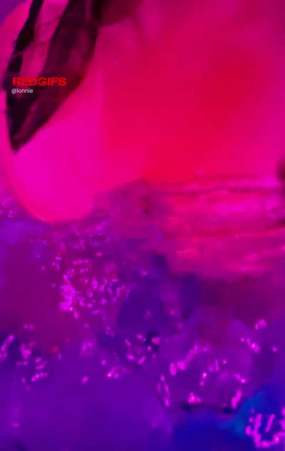 The only thing rising faster than Denver rent 😅🔥