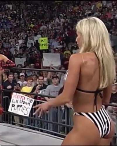 Torrie Wilson