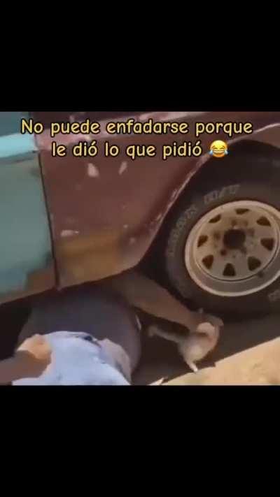 Carola - Video #6478