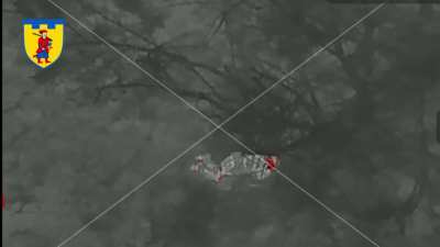 A Russian soldier Trying to Play Dead is Struck in the Leg by a Drone Dropped Grenade from the Ukrainian 110th TDF Brigade. (Published on December 17, 2024)