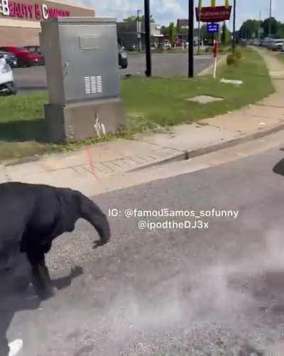 Cake man steals woman’s hair (gone wrong gone sexual)