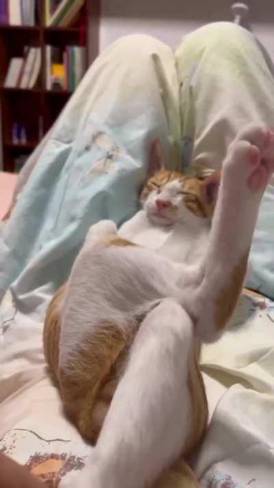 Why he's sleeping like that 🤣🤣