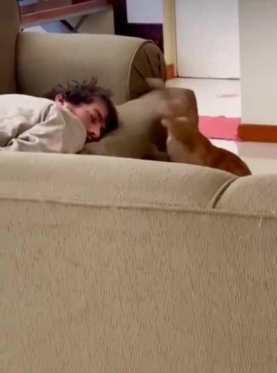 Not A Fan Of Sleepovers