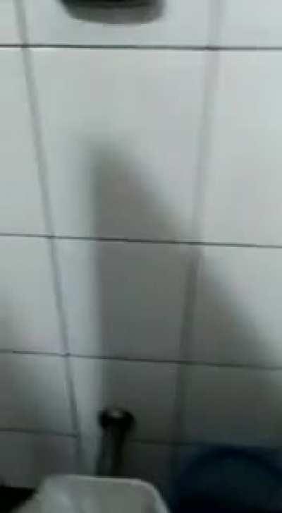 MUFINHA SAIA DO BANHEIRO DA MINHA ESCOLA