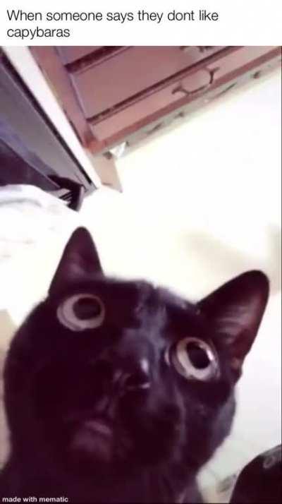 FETCH ME THEIR SOUL!!!😈😈