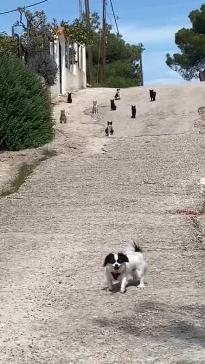 Bro made the best decision