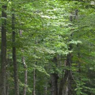 Smooth turnover shot from Paul McBeth
