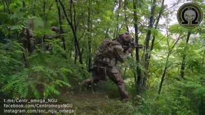 UA pov A video shows Ukrainian 