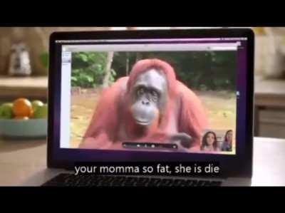 I'm 15 and this is yeet