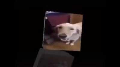 I'm 15 and this is yeet