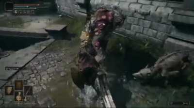 Serves those dogs right