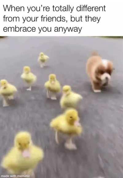 Real friends don't judge