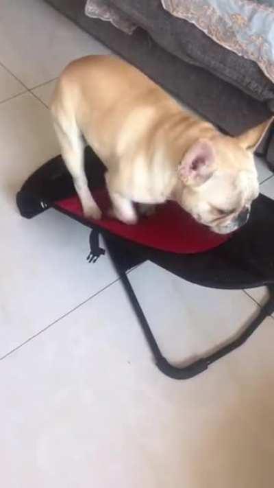 When Bulldog is retired