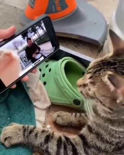 PewdiepieSubmissions - Video #7304