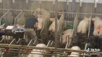 Once Again I Am Speechless...Sweet Mother of God