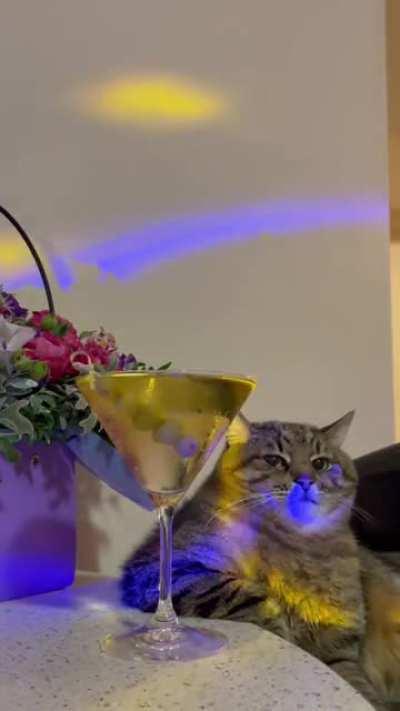 It’s been a rough weekend.