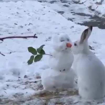 Just a little nibble.....