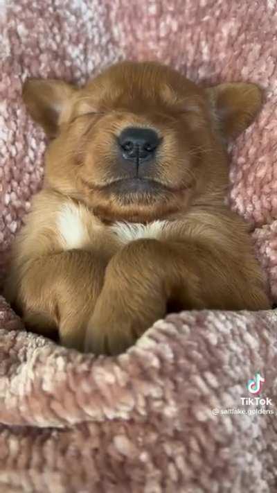 No wake up on my nap