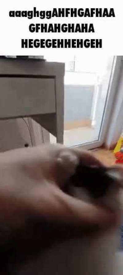 AAAAAAAASSDDFFFYFYFJYVFUDTAhhhhhWer