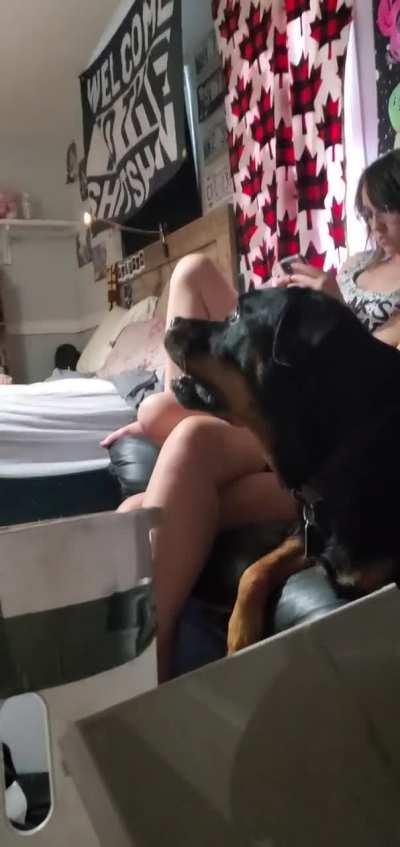 Me and my friends caught a ghost in my friends house