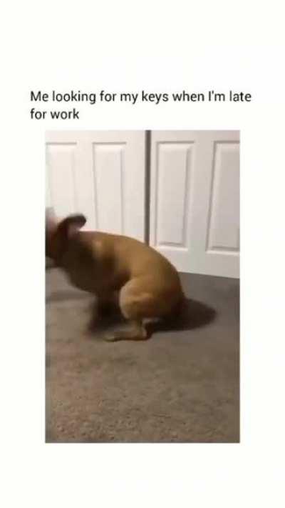 We've all been there