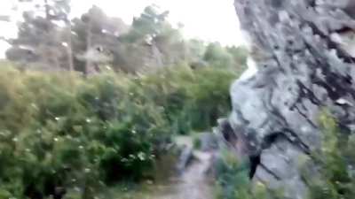 Día de monte ⛰️🌲🍂🍁