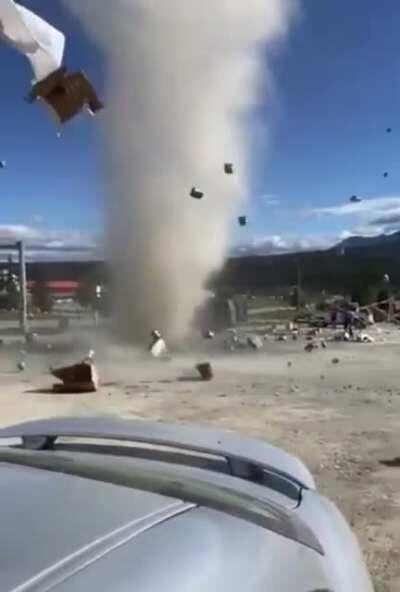 Tossed cabbage salad