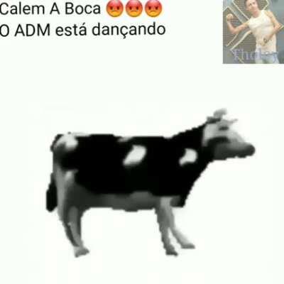 Pare agora e reverencie se ao adm