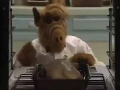 Remember Alf? He's back, in r/AbruptChaos form!