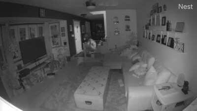 Fell down the stairs with wet feet. Foot went through baby gate and broke my toes.