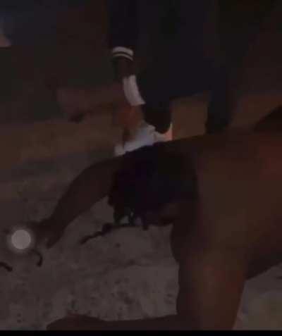 How ima do bruce next time he scam my channel points