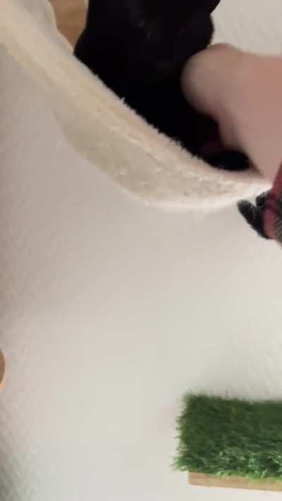 Some low key stremtch action