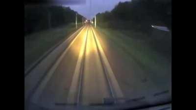 Moose gets obliterated while crossing a railroad