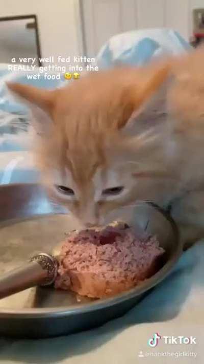 Olm çok tatlı lağn (sesi açın)