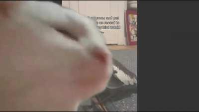 That feeling when your jam comes on