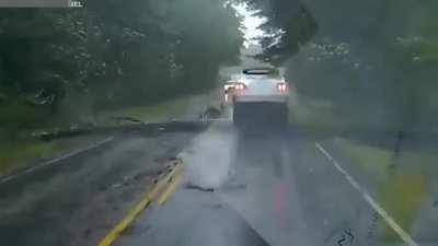 To be fair, a half second later would have sucked a lot worse.