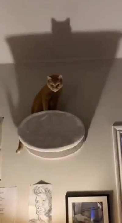 This is the new Batman