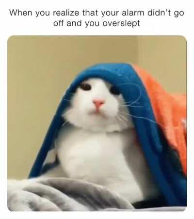 Oh sh*t here we go agaiN