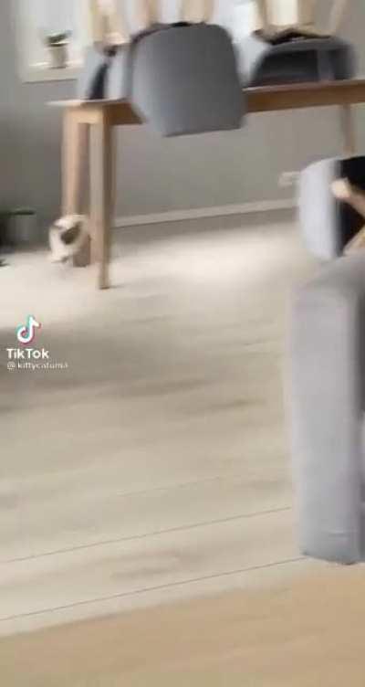 Screw that chair in particular