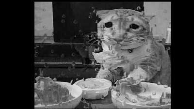 why they always so sad?